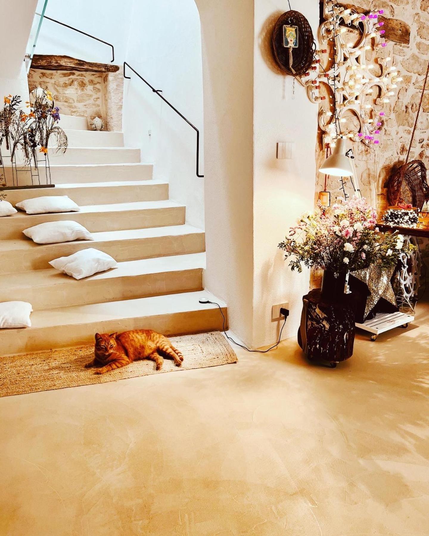 Hydria Guest House Art Gallery Dimora D Artista Con Terrazza E Vasca Idromassaggio Nel Cuore Del Borgo Antico Artists Home With Terrace And Jacuzzi In The Heart Of The Old Town Acquaviva delle Fonti Eksteriør bilde