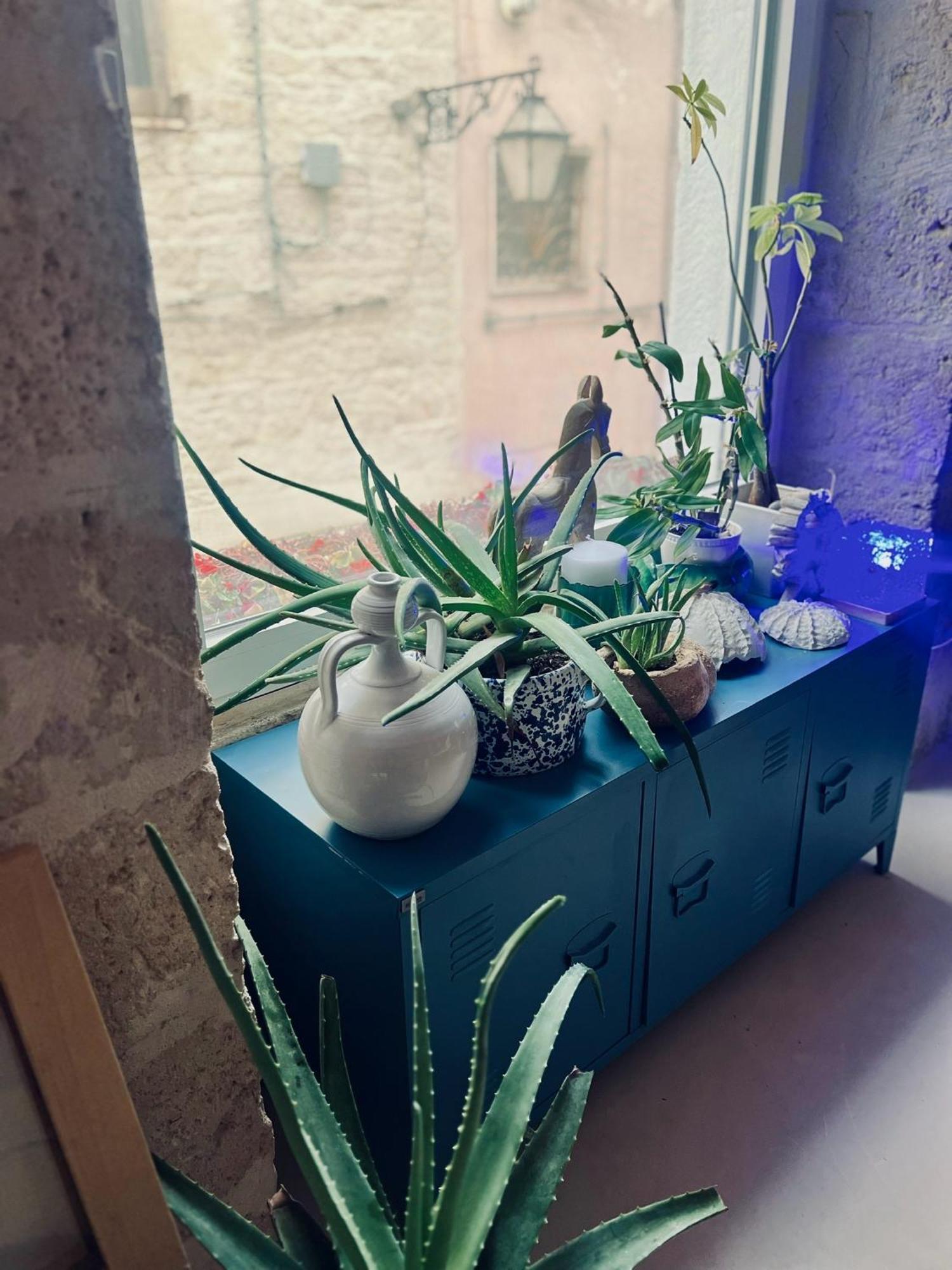 Hydria Guest House Art Gallery Dimora D Artista Con Terrazza E Vasca Idromassaggio Nel Cuore Del Borgo Antico Artists Home With Terrace And Jacuzzi In The Heart Of The Old Town Acquaviva delle Fonti Eksteriør bilde